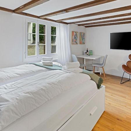 Ariser - Zug Unique Apartment In Historic 15Th Century Building Exteriér fotografie